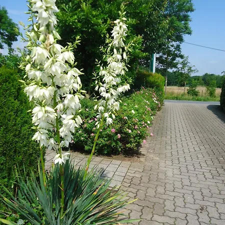 Fritz Schoene Lage Im Gruenen Mit Regionaler Kueche Kostenfreien Parkplaetzen Und E Ladestation シュヴェリーン