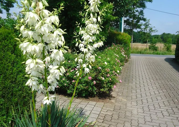 Fritz Schoene Lage Im Gruenen Mit Regionaler Kueche Kostenfreien Parkplaetzen Und E Ladestation シュヴェリーン